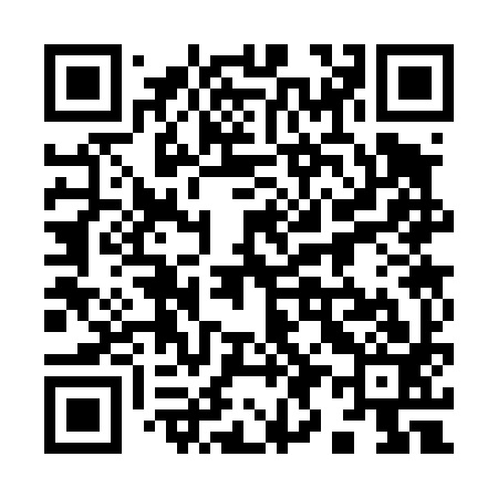 QR code for 993493