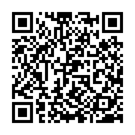 QR code for 994228