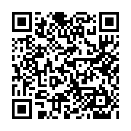 QR code for 994295