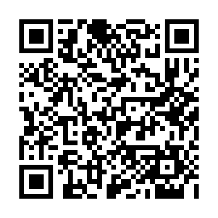 QR code for 994307