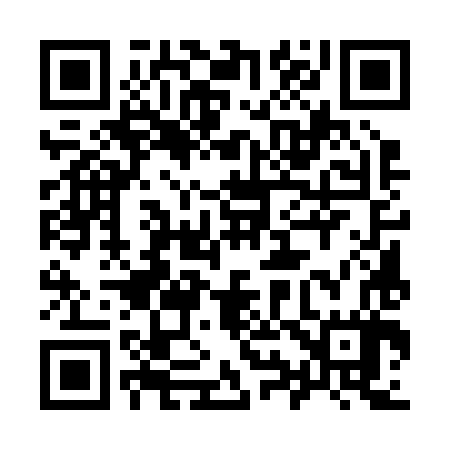 QR code for 995287