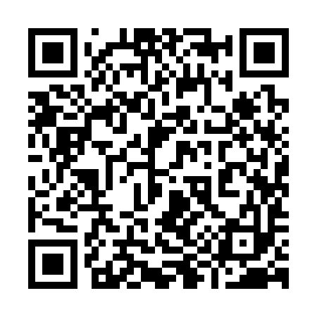 QR code for 999393