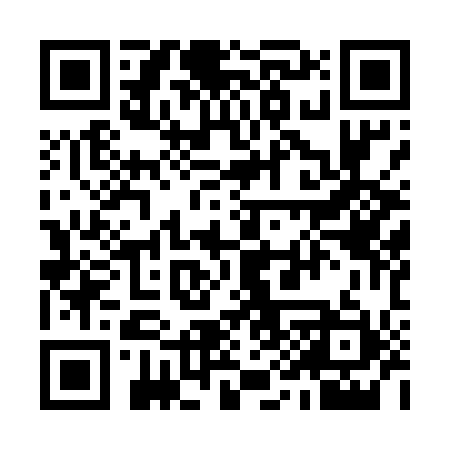 QR code for 999511
