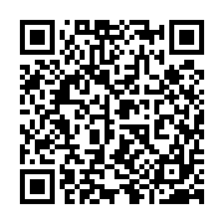 QR code for 999517