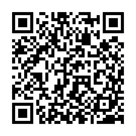 QR code for 999541