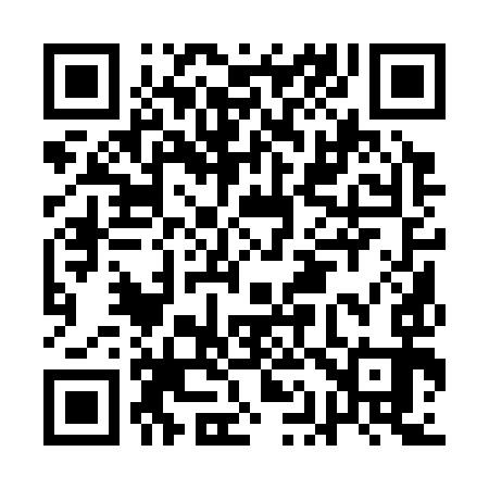 QR code for AA1393