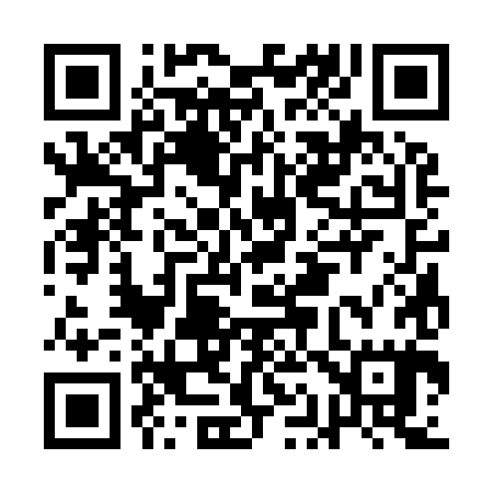QR code for AA3985