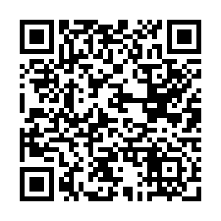 QR code for AA6313