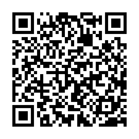 QR code for AE0335