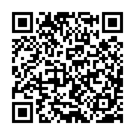 QR code for AE0595