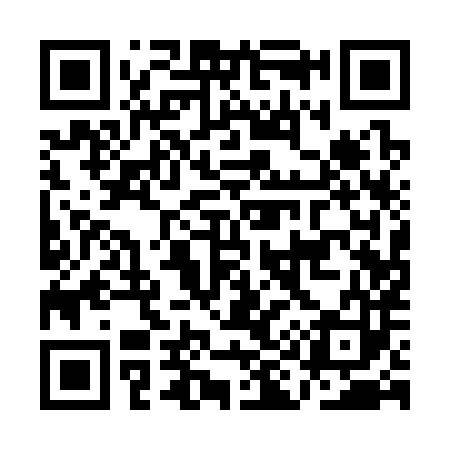 QR code for AI1383