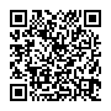 QR code for AI2161