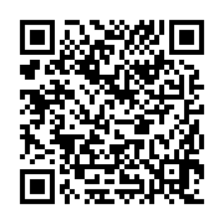 QR code for AI2894