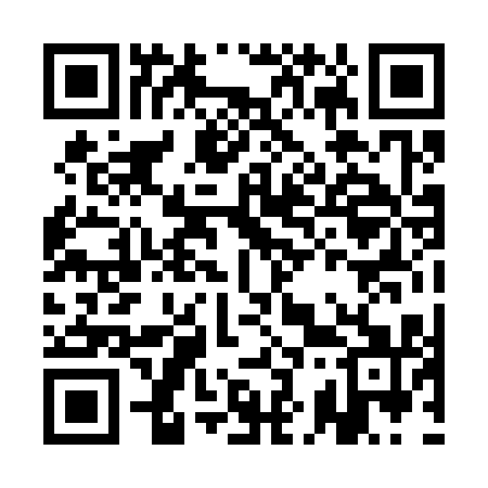 QR code for AK0311