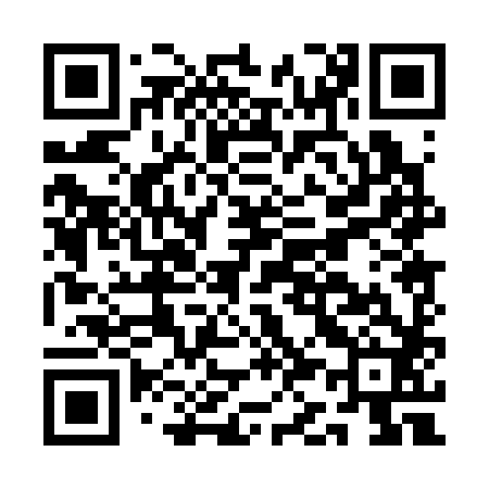 QR code for AK0382