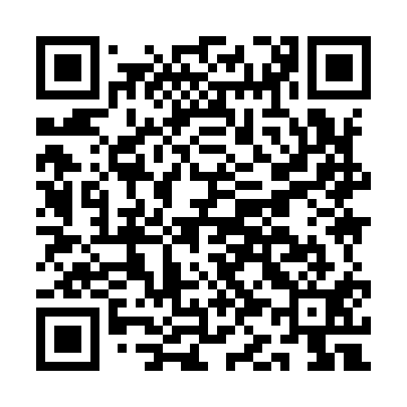 QR code for AK9911