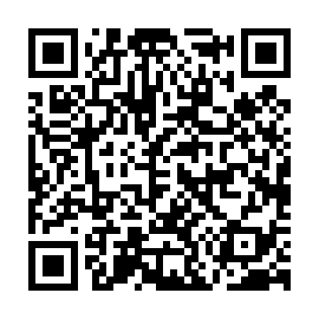 QR code for AO0439