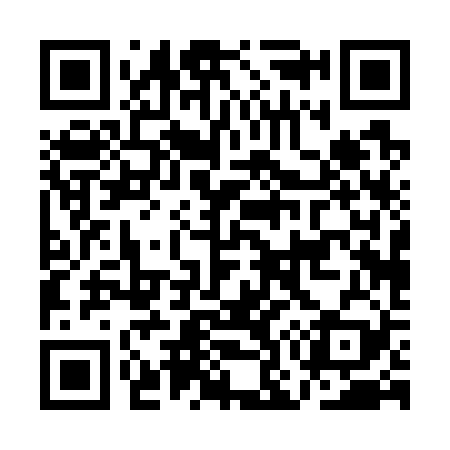 QR code for AO0729