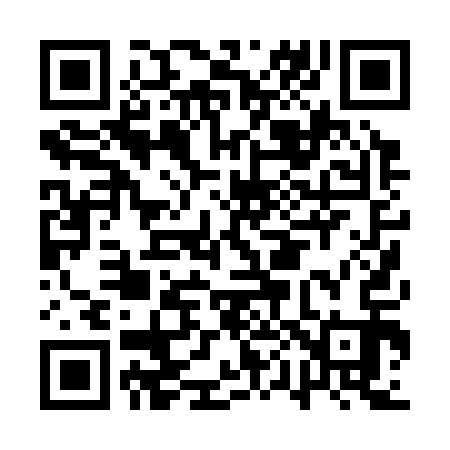 QR code for AP0313