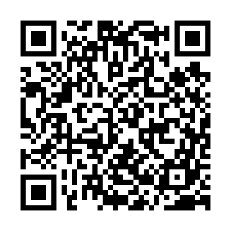 QR code for AR1667