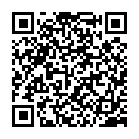 QR code for AV6533