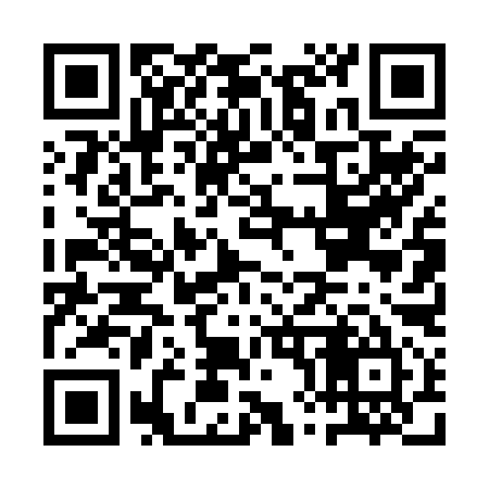 QR code for AX4295