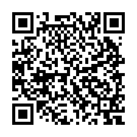 QR code for AY0291