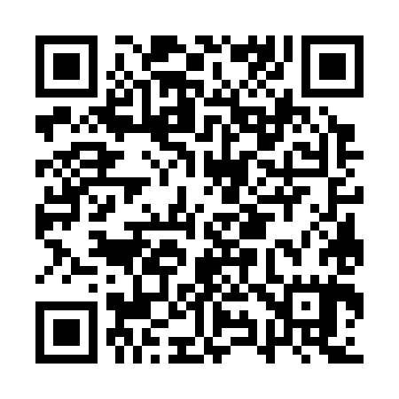 QR code for AY7385