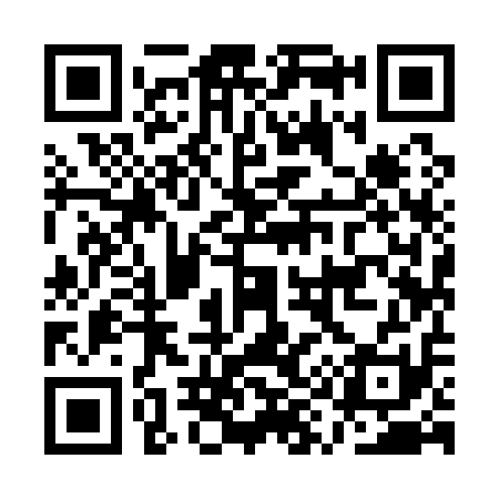 QR code for AY9111