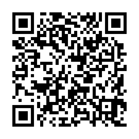 QR code for AY9381