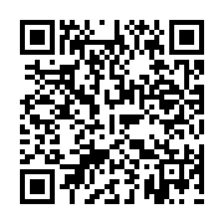 QR code for AY9395