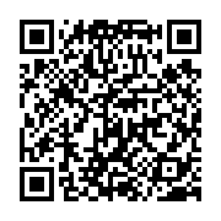 QR code for AY9638