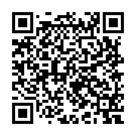 QR code for BA1994