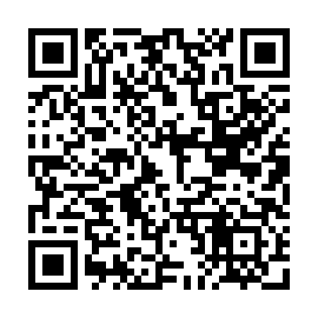 QR code for BB0383