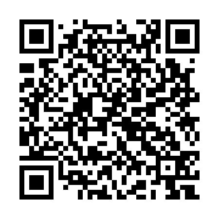 QR code for BG3133