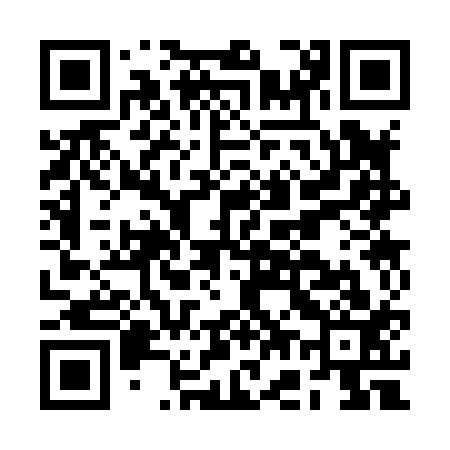 QR code for BG3813