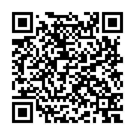 QR code for BG3933