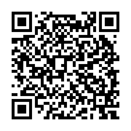 QR code for BG4295
