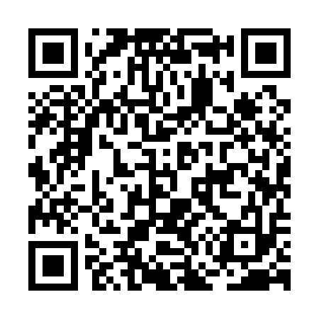 QR code for BG9113