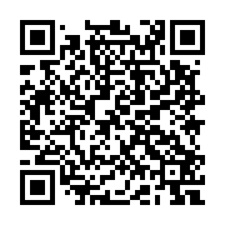 QR code for BG9503