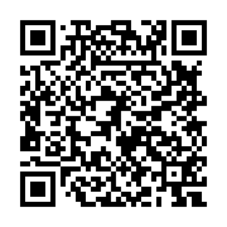QR code for BI3851