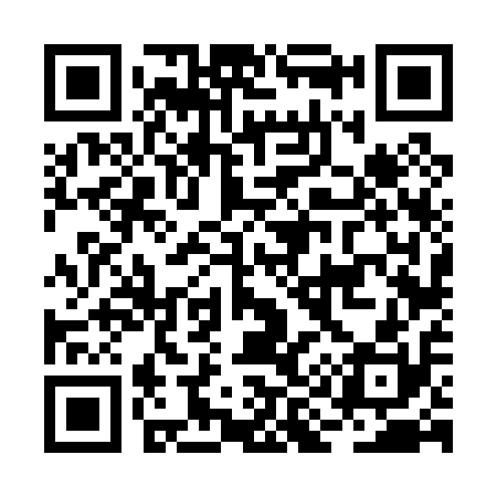 QR code for BI6010
