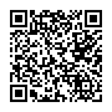 QR code for BL0995
