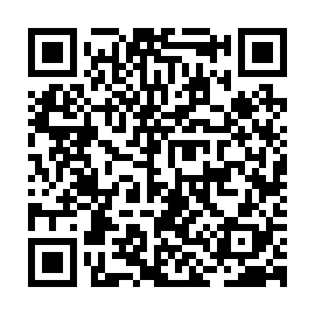QR code for BL6228
