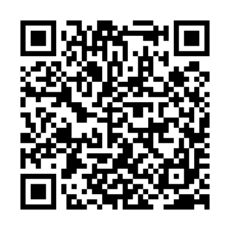 QR code for BL6597
