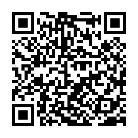QR code for BL8038
