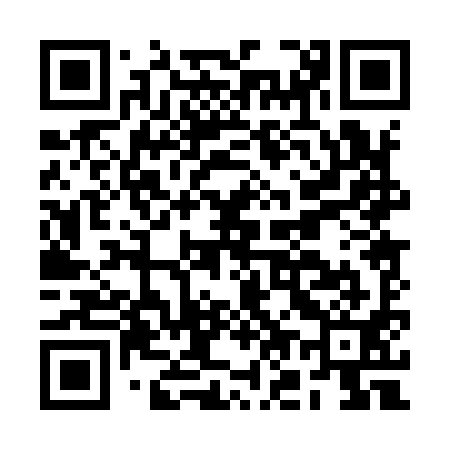 QR code for BO0991