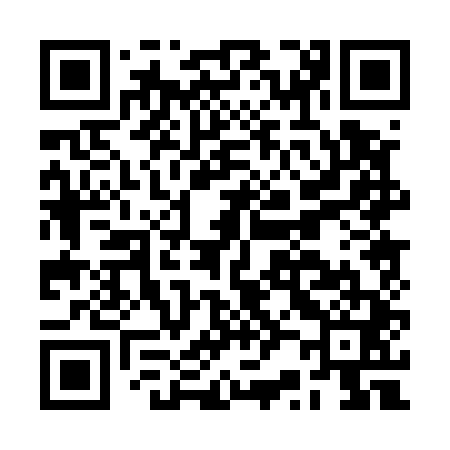 QR code for BR0541