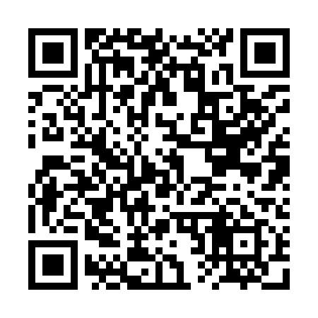 QR code for BR2919