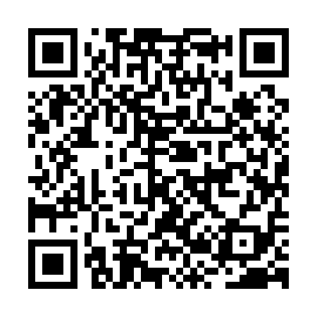 QR code for BR9119